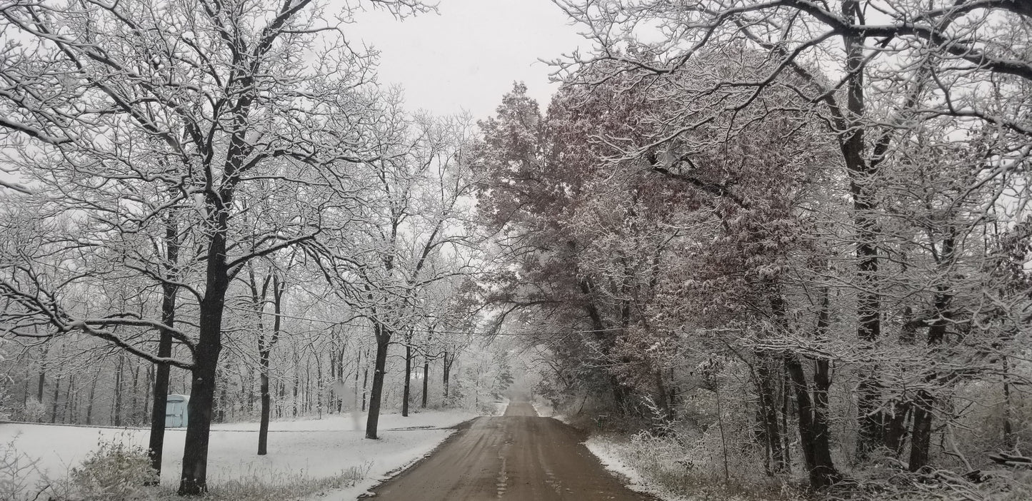 "Winter In Michigan"